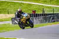 Advanced Group Yellow Bikes